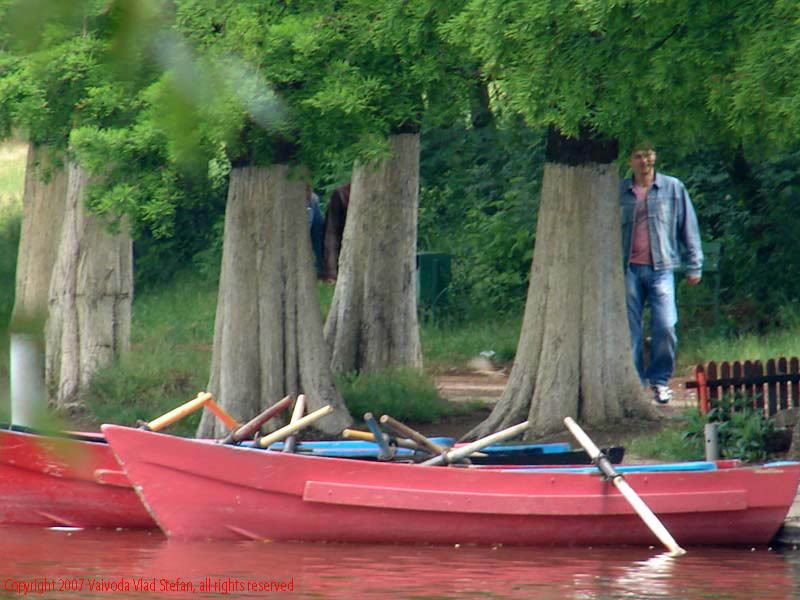 Vaivoda Vlad Stefan - fotograf in Romania Parcul Alexandru Ioan Cuza fost Titan Bucuresti 2007 barci rosii lac copaci verde vara oameni plimbare alee