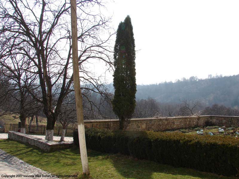 Vaivoda Vlad fotograf in Romania panorama curte interioara Manastirea Hurezi Valcea martie 2007 copaci senin gard viu piatra turn turnuri