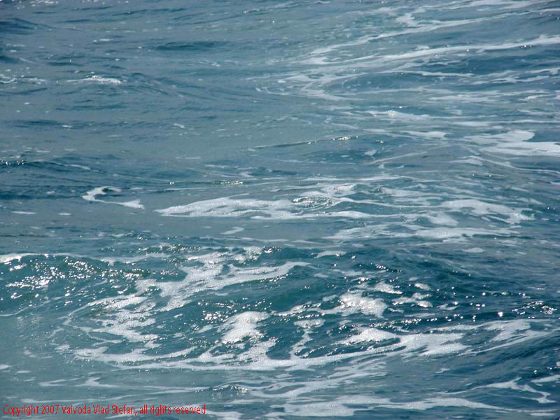 Portul turistic Tomis Constanta 2007 Vaivoda Vlad fotograf in Romania barca navigatie marea neagra vapor vaporas condor calatorie port agrement marinar capitan val vlauri spuma siaj