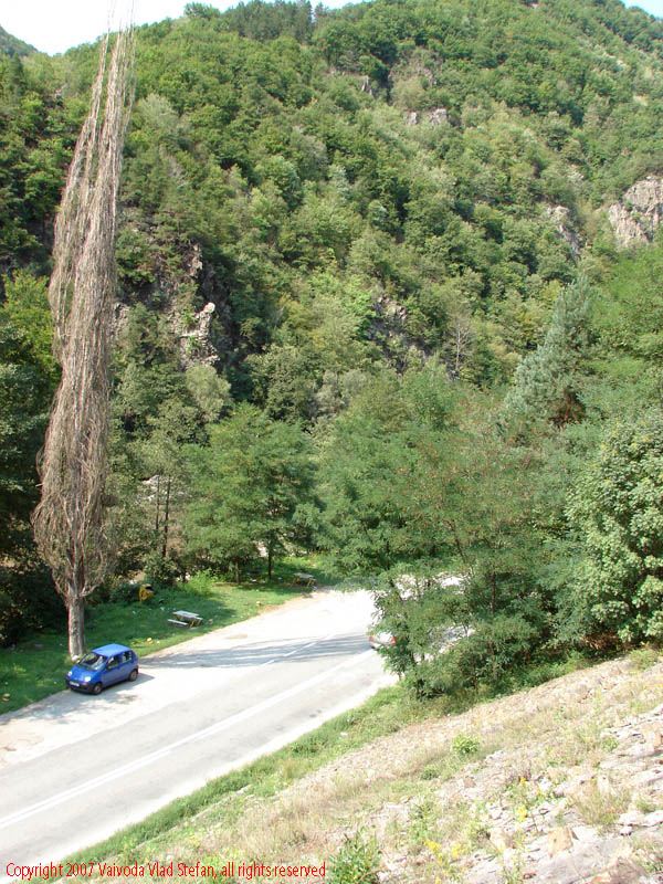 Vaivoda Vlad fotograf in Romania drum european national sosea sosele excursie calatorie calator voiaj masina automobil condus sofat soferie circula circulatie daewoo matiz inaltime plop copac Pe E79 DN66 peisaj din Defileul Jiului 20070