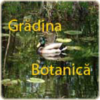 Vaivoda Vlad fotograf in Romania logo galerie fotografii din Gradina Botanica Dimitrimie Brandza Bucuresti