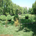 Thumbnail 9 poze galerie gradina Botanica 2007