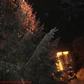 thumbnail galerie poze prin municipiul Tg Mures 2007