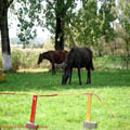 thumbnail galerie poze prin municipiul Tg Mures 2007