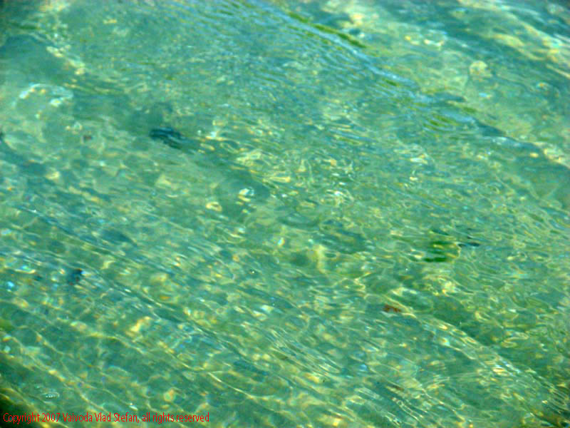 Marea Neagra Mamaia 2007 Vaivoda Vlad fotograf in Romania val valuri albastru agrement turism turist litoral vara plaja soare cald baie constanta apa reflexii nisip acvatic plante marine