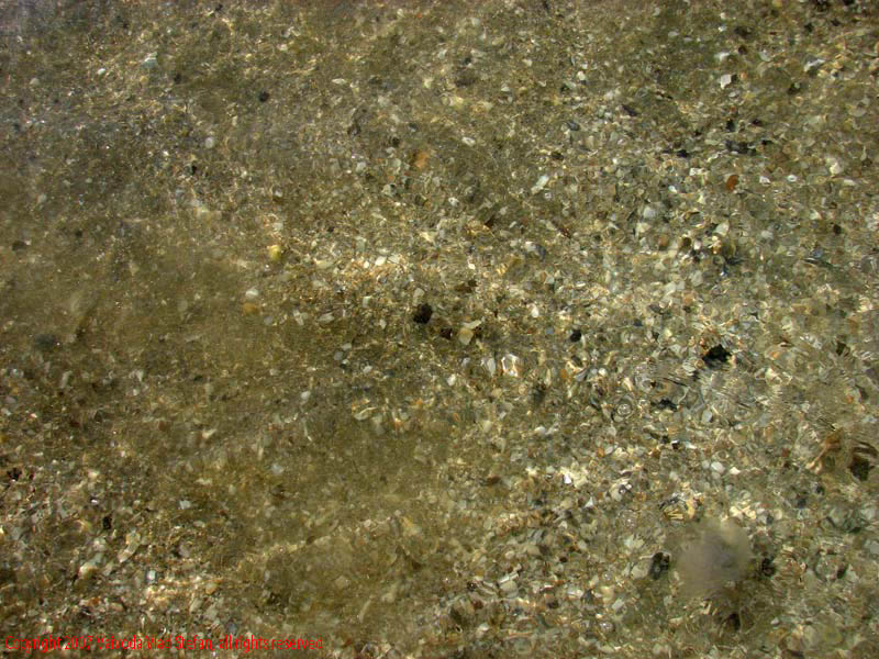 Marea Neagra Mamaia 2007 Vaivoda Vlad fotograf in Romania val valuri albastru agrement turism turist litoral vara plaja soare cald baie constanta apa reflexii nisip acvatic plante marine