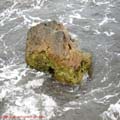 thumbnail galerie plaja Mamaia 2007
