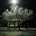 Thumbnail poze galerie aiurea pe sosele 2007