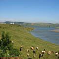 Thumbnail poze galerie aiurea pe sosele 2007